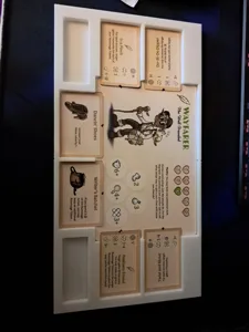 Vagrantsong character board