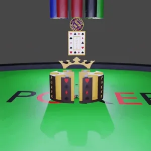 Complete Poker Case, 360 Chips, Card Case and Dealer Chips, Big, Small Blind