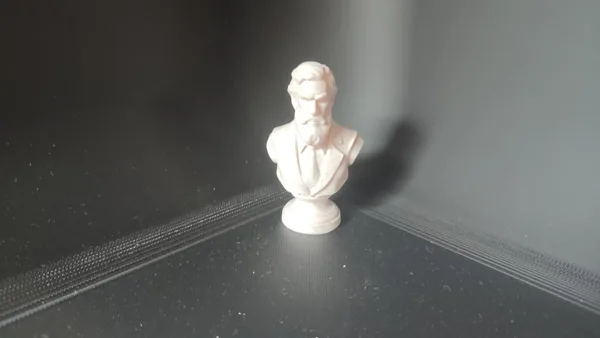 Bust Gutenberg