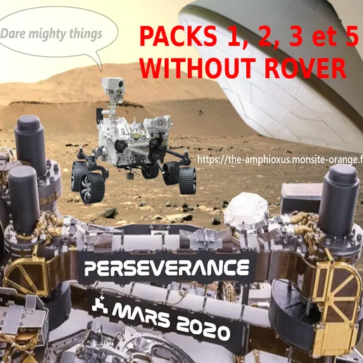 March 2020 PERSEVERANCE capsule