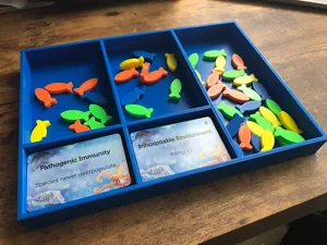 Oceans Fish Tray