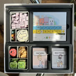 Adulthood Board Game Organizer/Insert