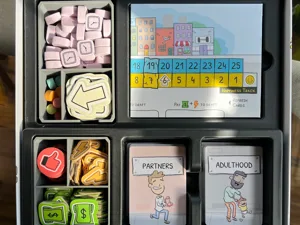 Adulthood Board Game Organizers