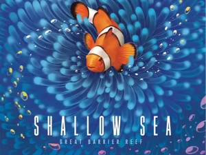 Shallow Sea / Riffwelten