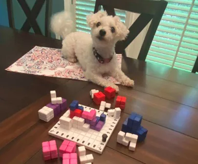 Pueblo Board Game