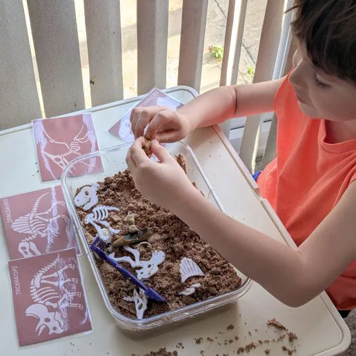 Dino Skeleton Dig Kit – T. rex, Spinosaurus, Triceratops & Pterodactylus + Fun Facts