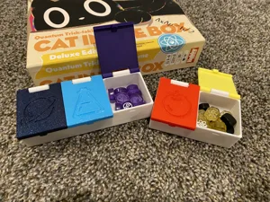 Cat in the Box Organizer
