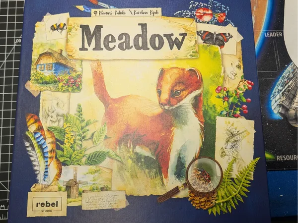 Meadow Insert (Including Downstream Expansion)