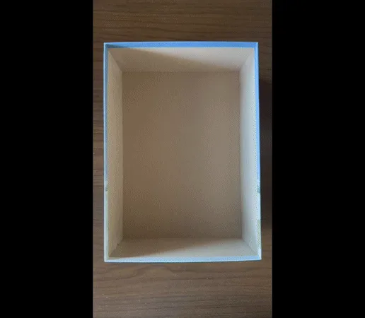 Fields of Arle Big Box board game Organizer