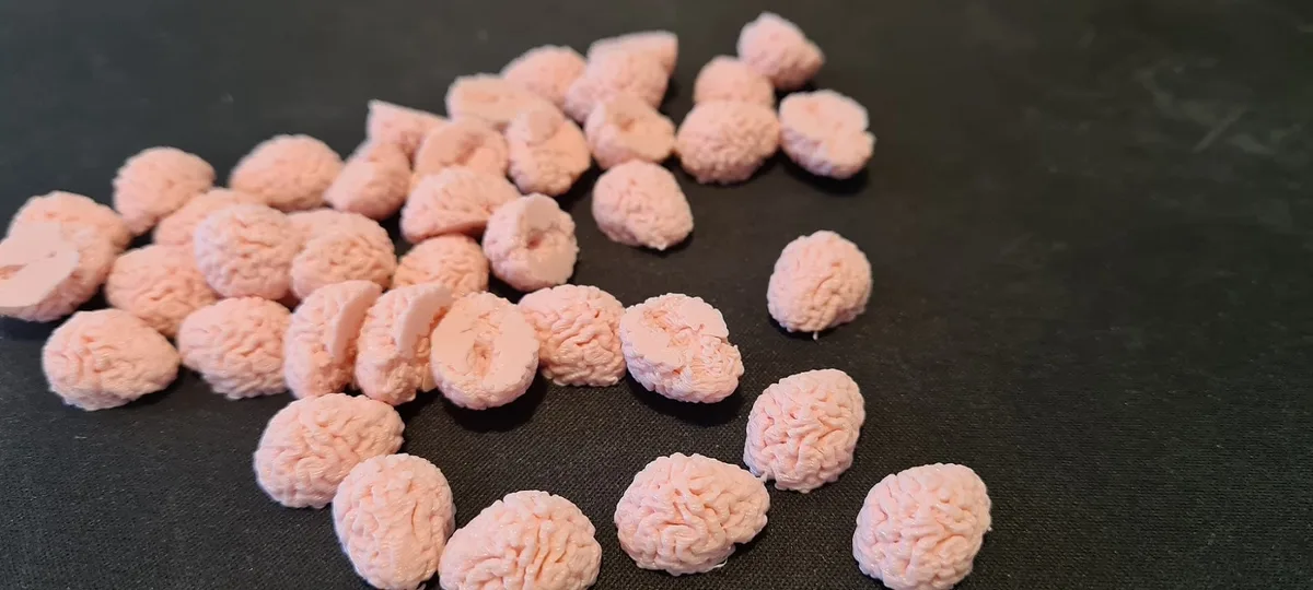Braaain tokens for Zombie Dice