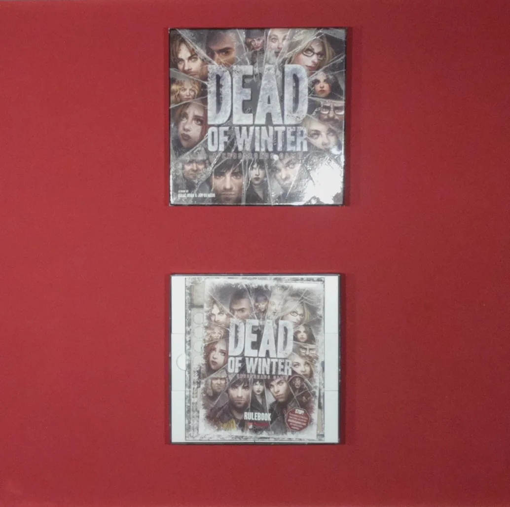 Dead of Winter Box Organizer