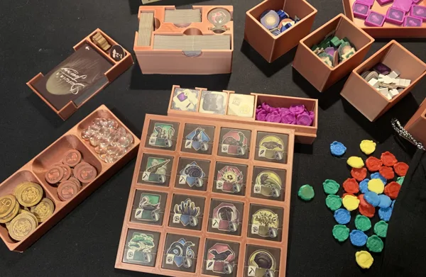 Darwin's Journey Base Board Game Insert