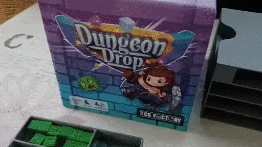 Dungeon Drop game insert