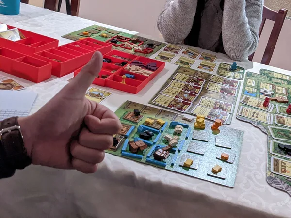 Agricola revised edition - insert board game