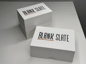 Blank Slate game case