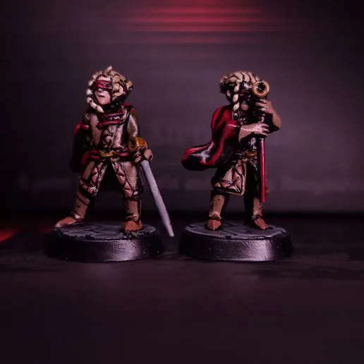 The Thorn - Expansion Pack - Darkest Dungeon Inspired Hero for the Boardgame