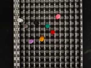 Dixit 12 Player 30 Point Score Tracker