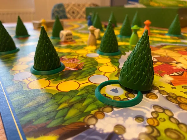 Enchanted Forest Tree Ring