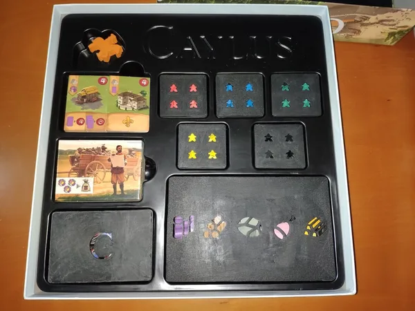 Caylus 1303 insert with lids