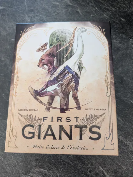 Rangement du jeu "First Giants"
