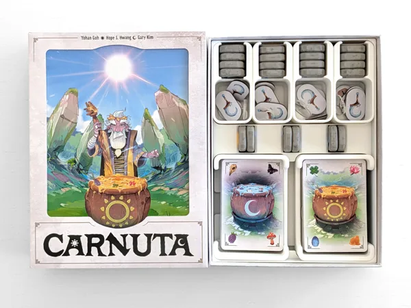 Carnuta - Organizer Insert