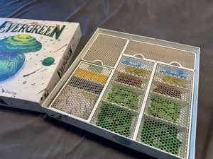 Evergreen Insert / Organizer
