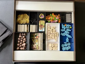 Village Board Game Organizer