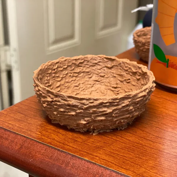 Bird nest for Wingspan (holds eggs)