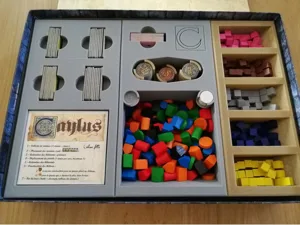 Caylus storage box