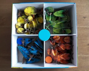 Photosynthesis Game Insert