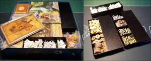 Spirit Island Boardgame Insert