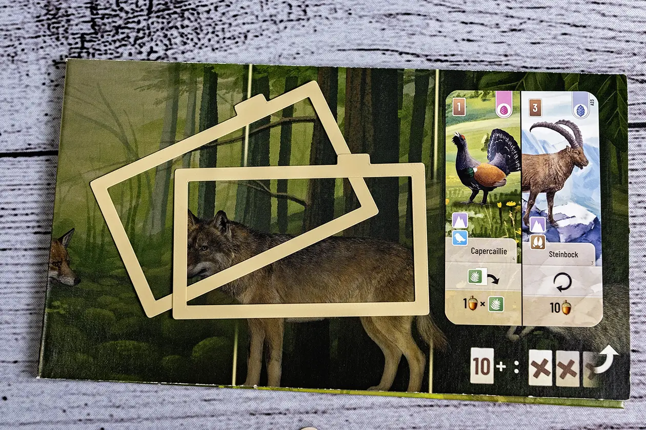 Card Dividers for insert