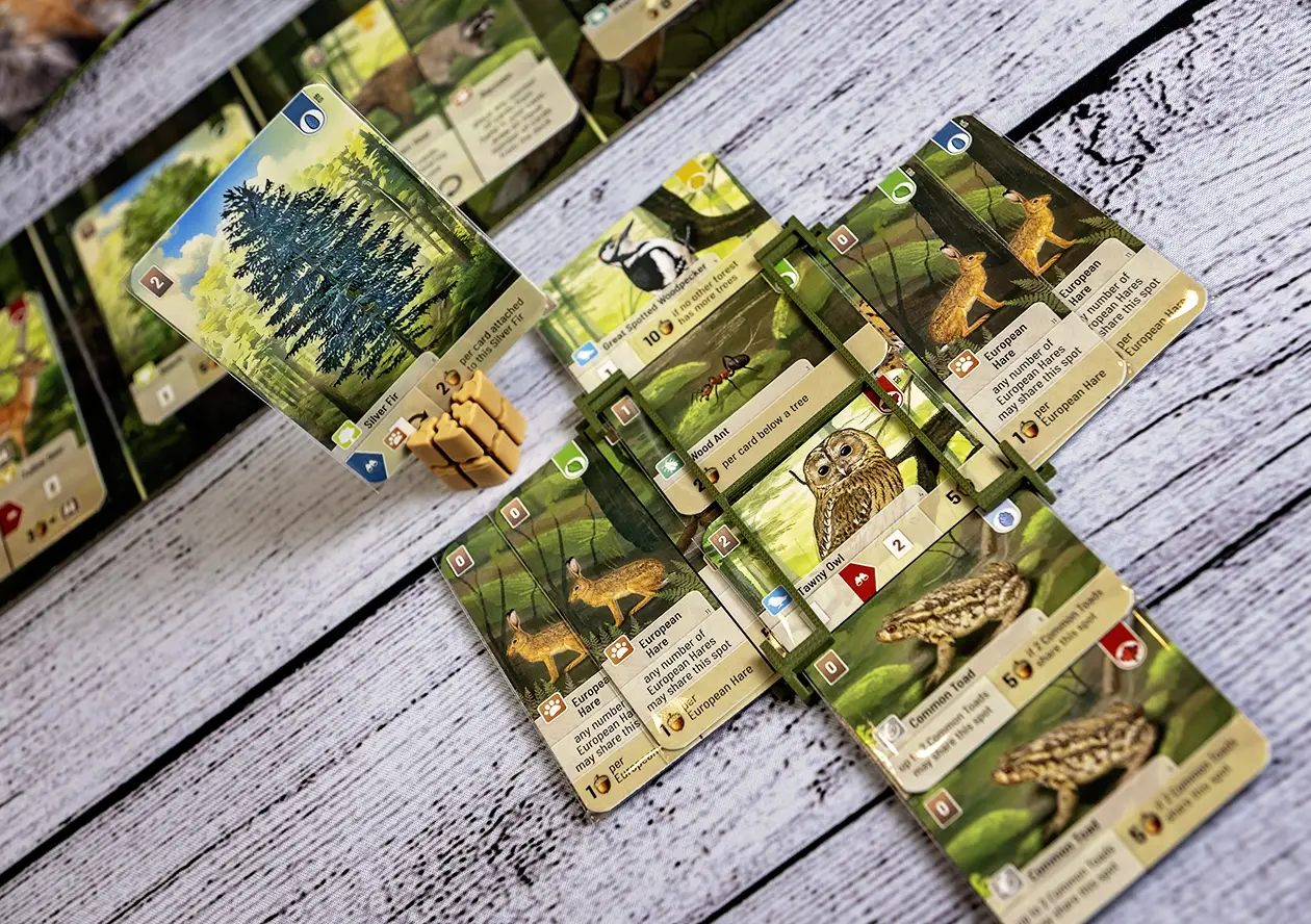 Showing the cards in the tray under the Silver Fir tree card